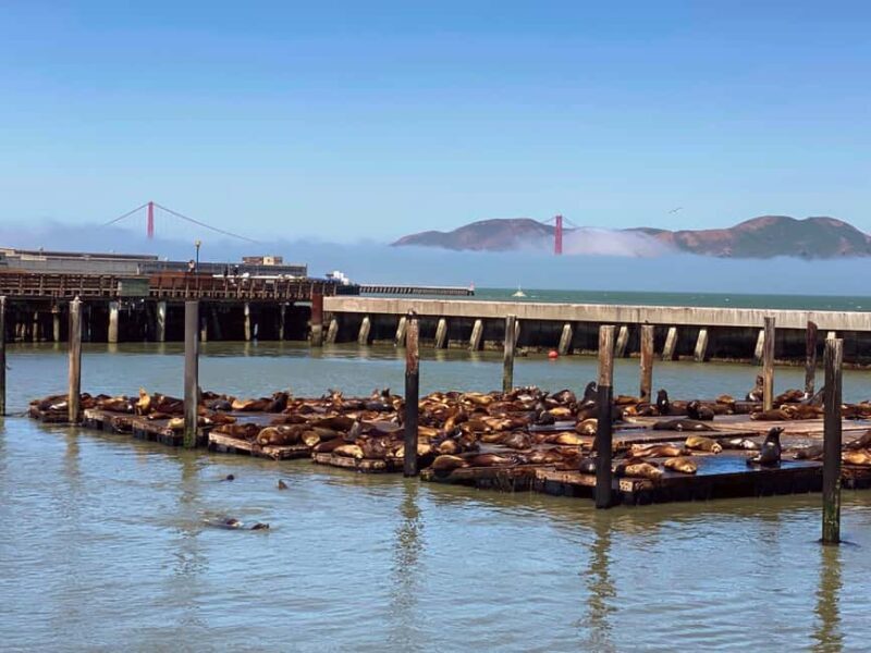 Fishermans Wharf Highlights Tour + Golden Gate Bay Voyage - Analyzing Value and Practical Tips