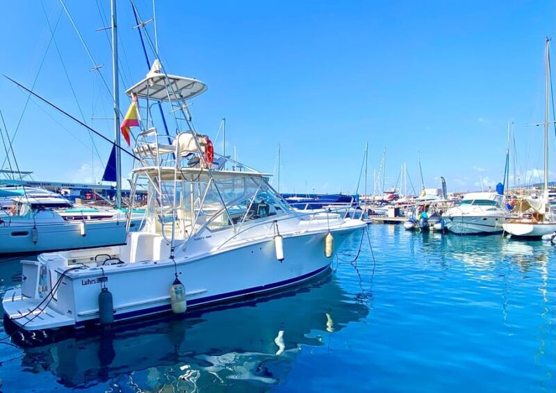 fishing charter 4h - The Value of This Fishing Tour