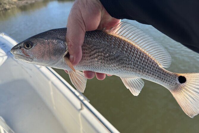 Fishing Charters in Mount Pleasant - Exploring the Inshore Waters of Mount Pleasant