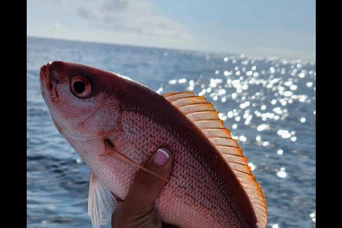 Fishing Charters in Mount Pleasant - The Catch and the Instruction