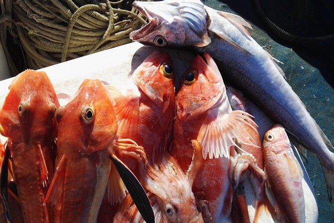 Fishing in the Bay of Sorrento and Capri - FAQ