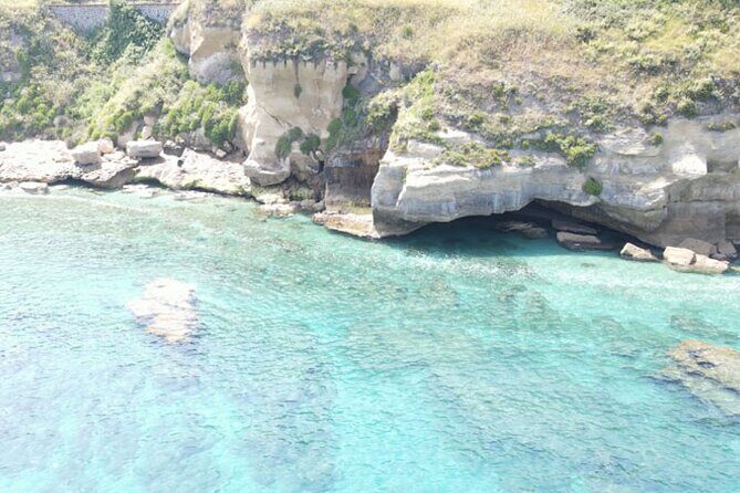 Fishing, Snorkelling & Dolphin Boat Tour - Who Will Love This Tour?