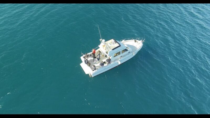 Fishing Trip all included - Combining Adventure and Authenticity: Our Review of the All-Inclusive Fishing Trip in Valencian Community