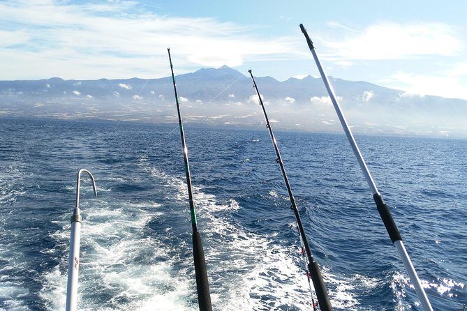Fishing trip, Tenerife Sea Passion - The Value and Practical Aspects