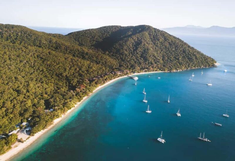 Fitzroy Island: Full-Day Ferry & Snorkel Safari Guided Tour - Key Points