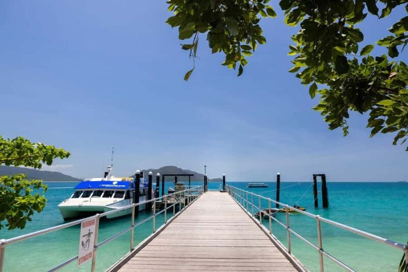Fitzroy Island: Full-Day Ferry & Snorkel Safari Guided Tour - An Honest Look at the Fitzroy Island Day Tour