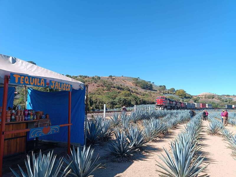 Five-star factory: Meet Orendain tequila. - Introduction