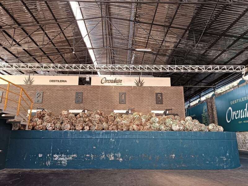 Five-star factory: Meet Orendain tequila. - Key Points