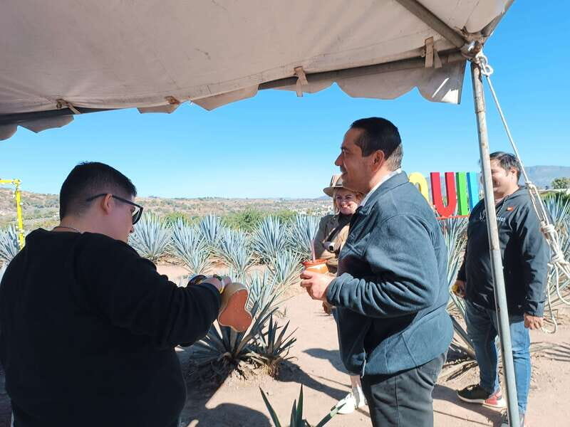 Five-star factory: Meet Orendain tequila. - What to Expect and Practical Details