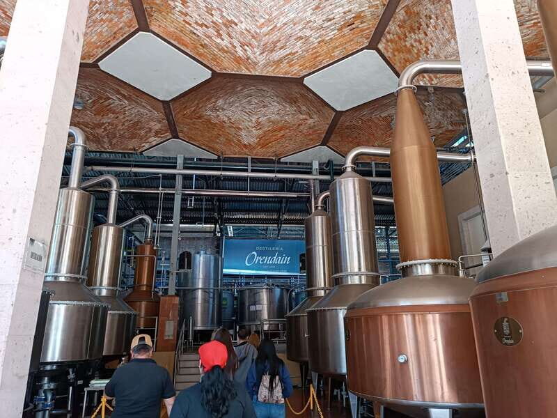 Five-star factory: Meet Orendain tequila. - Authentic Experiences and Real Traveler Insights
