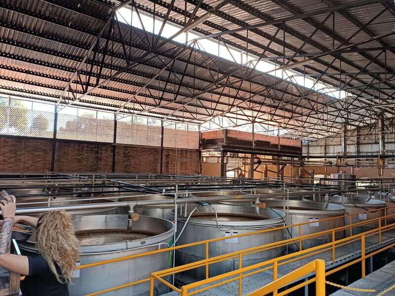 Five-star factory: Meet Orendain tequila. - FAQ