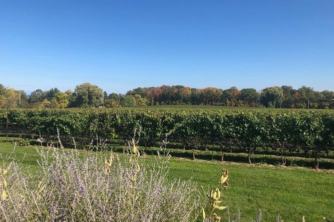 Fixed Price :- Private Transfers Niagara falls Hotel OR Pearson Toronto Airport - Final Thoughts