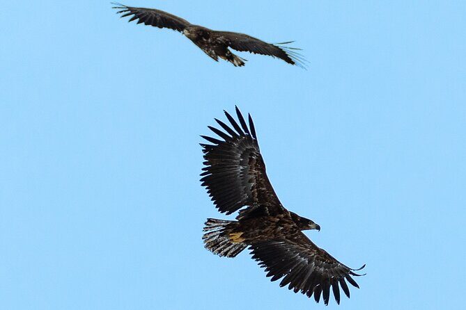 Fjord & History Cruise - The Sum Up