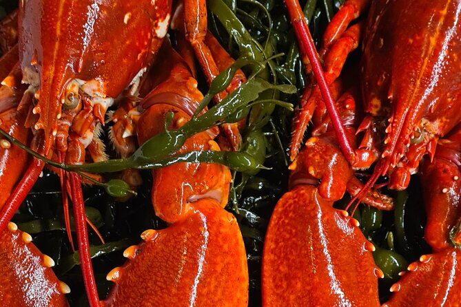 Fjord Houseboat Cruise in Oslo. 100 % electric. BYO - FAQ