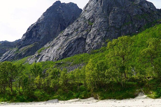 Fjord Sightseeing - Eco friendly Tesla Model X - Final Thoughts