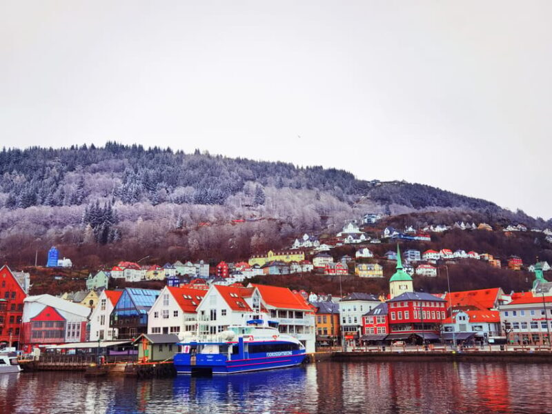 Flåm Flexible Tour with Stegastein, cruise and train include - An In-Depth Look at the Flåm Flexible Tour