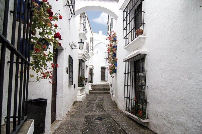 Flamenco Night at Tablao de Carmen with Tasting Menu or Dinner - Practical Details: What You Need to Know