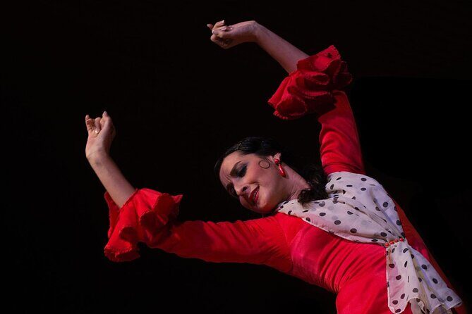 Flamenco Show in Cueva Zincalé - Final Thoughts