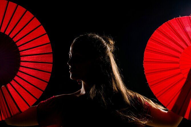 Flamenco show & tasting Tapas with panoramic views in Madrid - What It’s Like to Experience the Flamenco Show