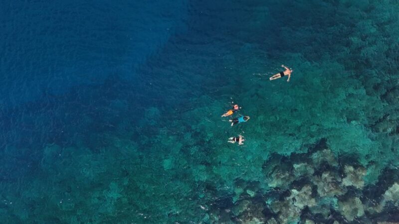 Flamingo Beach: Guided SUP and Snorkeling experience - Who Is This Tour Best For?