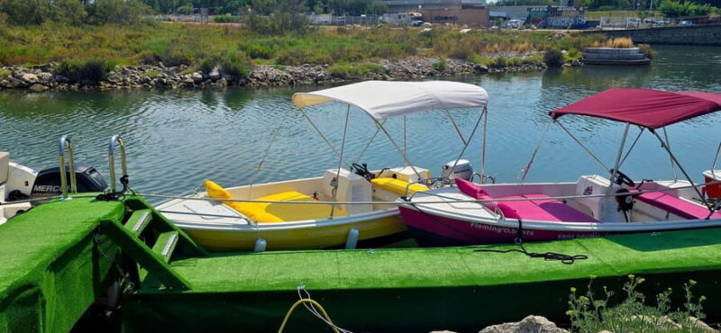 Flaming'O boat rental without a license in Carnon Palavas Montpellier - Who Should Consider This?