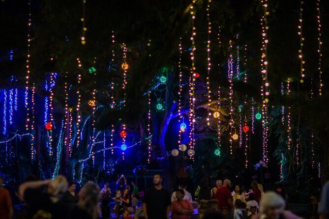 Flamingo Gardens' Garden of Lights - Key Points