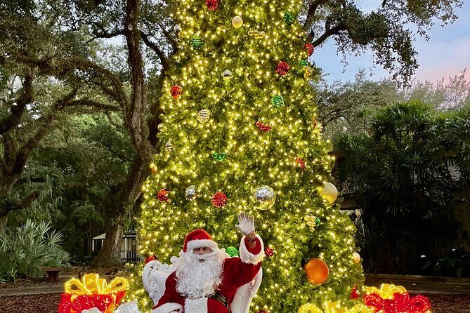 Flamingo Gardens' Garden of Lights - Final Thoughts: Worth a Visit with Caveats