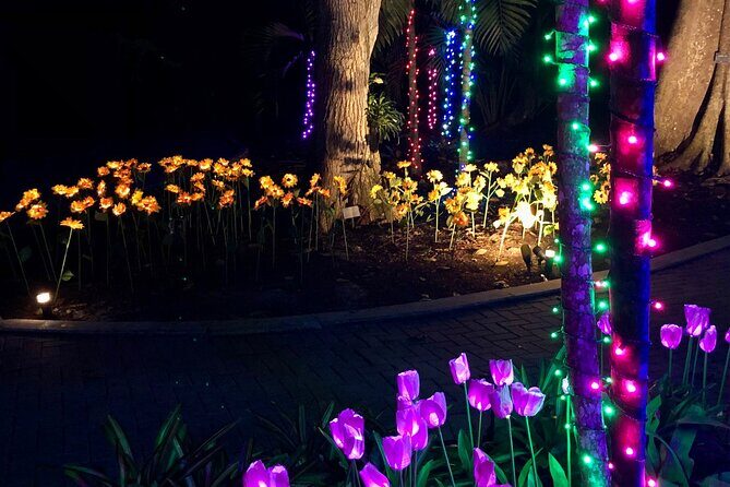 Flamingo Gardens' Garden of Lights - FAQ