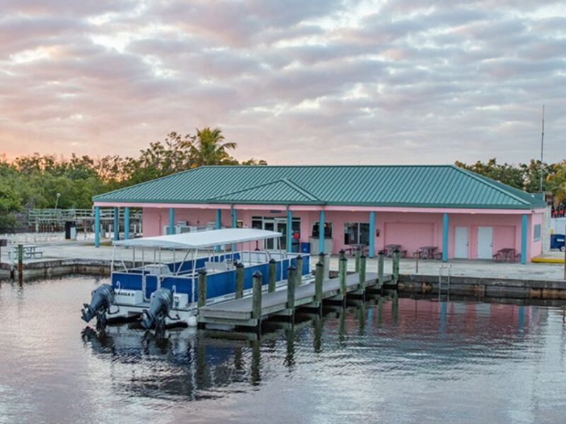 Flamingo Marina: Backcountry Boat Tour of the Everglades - Authentic Insights from Other Travelers