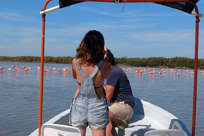 Flamingos Tour in Rio Lagartos Yucatan 2 hours - Key Points