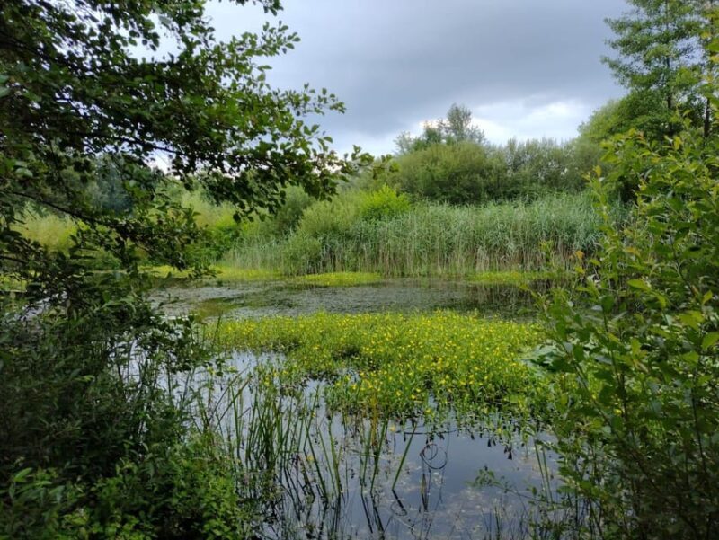 Flanders Day Tour with Turnhout, Hoogstraten & Kasterlee - Key Points