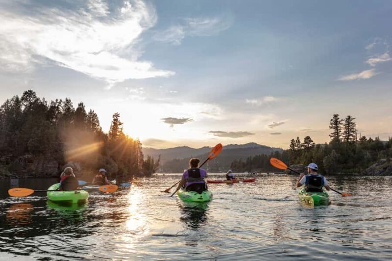 Flathead Lake: Somers Bay Kayak Tour - Key Points