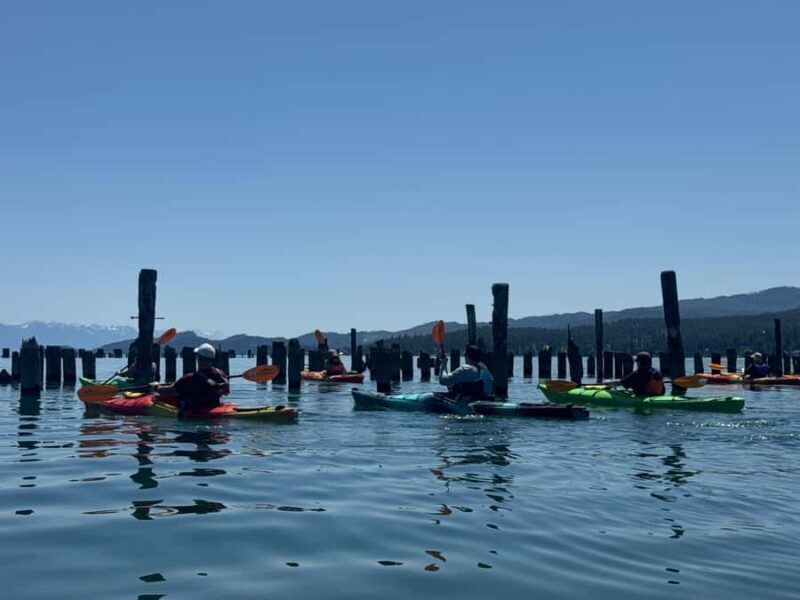 Flathead Lake: Somers Bay Kayak Tour - The Experience in Detail