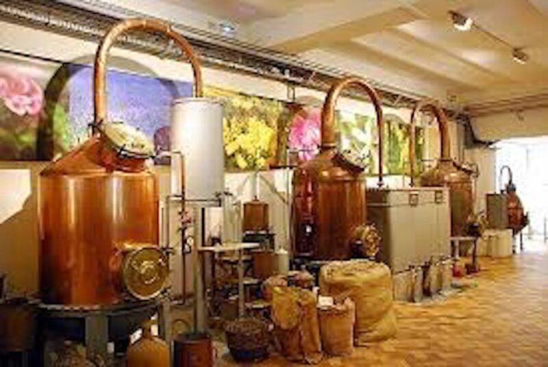 Flavor & Taste of Provence - Exploring the Itinerary in Detail