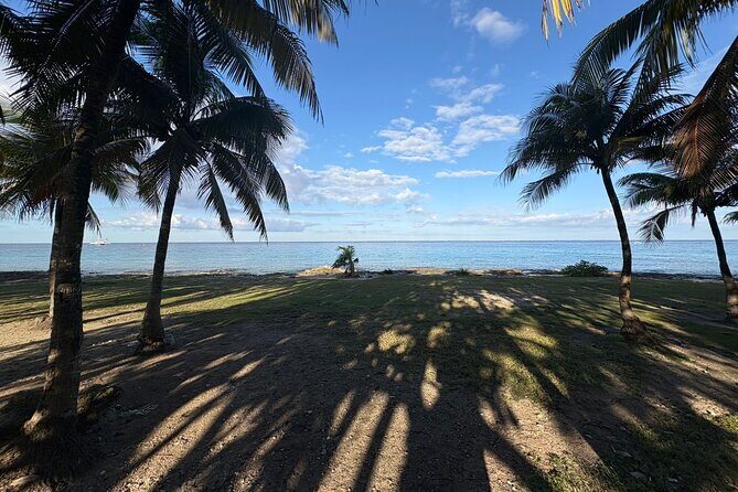 Flavors of Cozumel-exploration of the island with shore snorkeling - Dzul-Ha Reef: Snorkeling in Calm Caribbean Waters