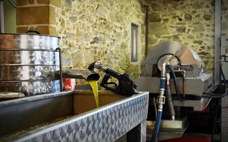 Flavors of Crete from Chania: Wine & Olive Oil Tasting Tour - A Deep Dive into the Crete Flavors Tour