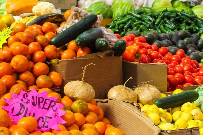 Flavors of Mexico City: A Tasty Urban Expedition - Final Thoughts: Is This Tour Right for You?