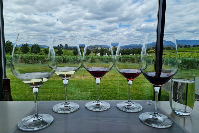 Flavour of the Yarra Valley Private Experience - Authenticity and Value: What Travelers Say