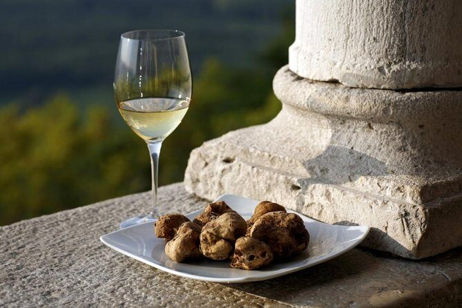 Flavours of Istria Tasting Experience from Trieste - Key Points