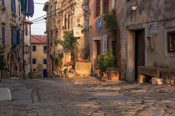 Flavours of Istria Tasting Experience from Trieste - A Deep Dive into the Istrian Flavors Tour