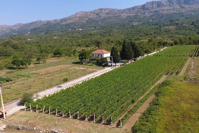 Flavours of Konavle: Wine, Food & Village Life Experience - Who Is This Tour Perfect For?