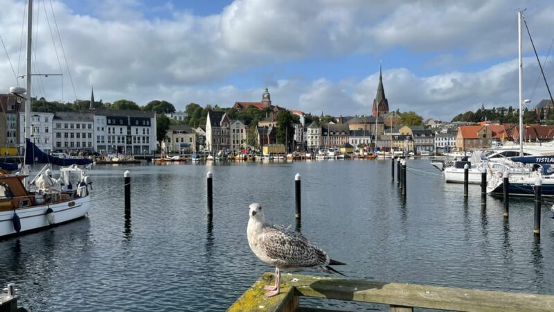 Flensburg: Running tour with insider tip guarantee - Is It Worth the Price?