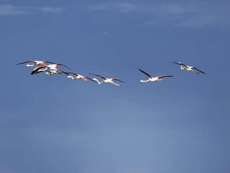 Fleur de Sel Experience - Key Points