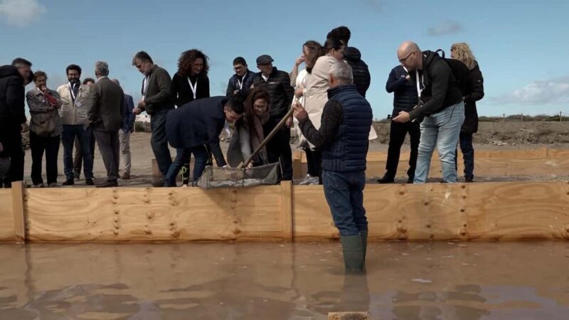 Fleur de Sel Experience - A Deep Dive into the Fleur de Sel Experience in Andalusia