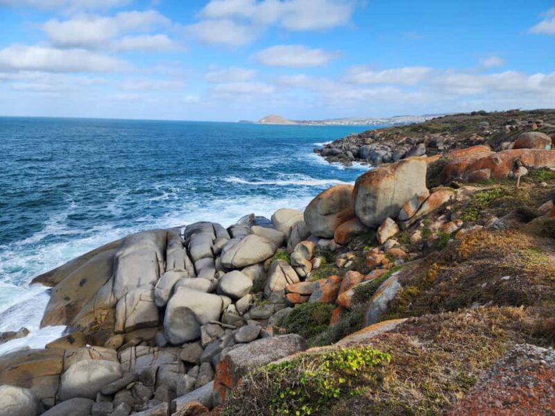 Fleurieu Coast: Victor Harbor, Port Elliot & d'Arenberg Tour - Key Points