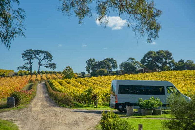 Fleurieu Peninsular: McLaren Vale Winery Experience - An In-Depth Look at the McLaren Vale Winery Tour