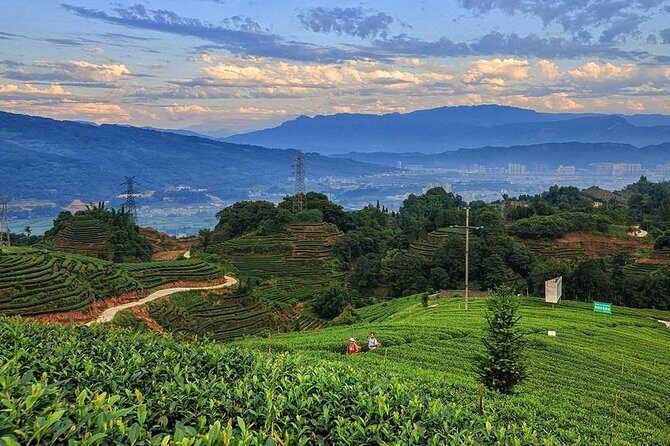 Flexible Hangzhou Private Day Tour with Lunch - Frequently Asked Questions