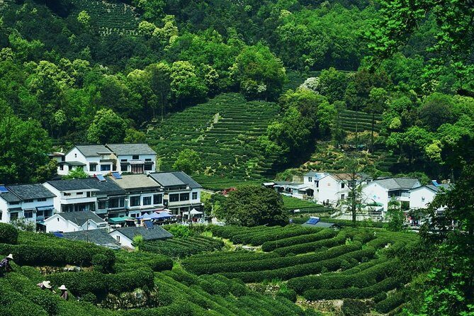 Flexible Private Hangzhou Layover Tour - Final Thoughts: Is It Worth It?