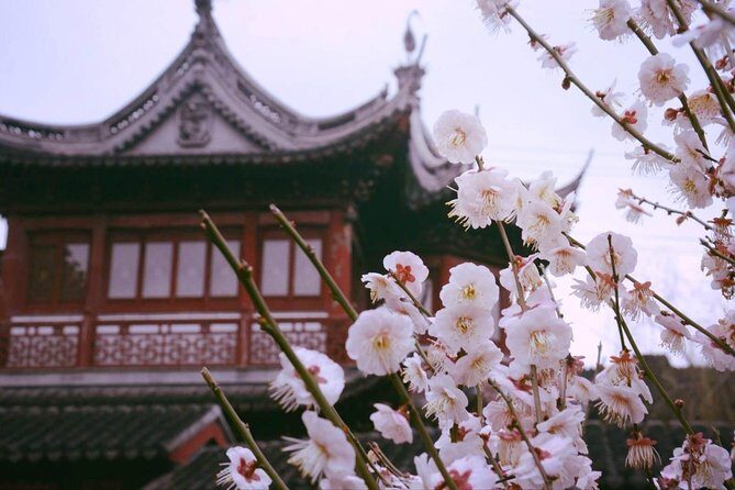 Flexible Shanghai Private Day Tour from Suzhou by Bullet Train - What Travelers Should Keep in Mind