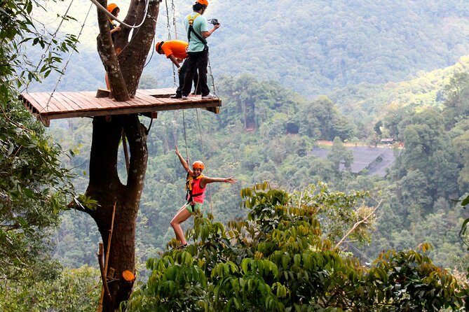 Flight of the Phoenix: Zipline Experience - Key Points